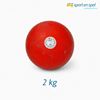 Stootkogel 2 kg Stootkogel 2 kg