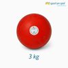 Stootkogel 3 kg Stootkogel 3 kg