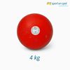 Stootkogel 4 kg Stootkogel 4 kg
