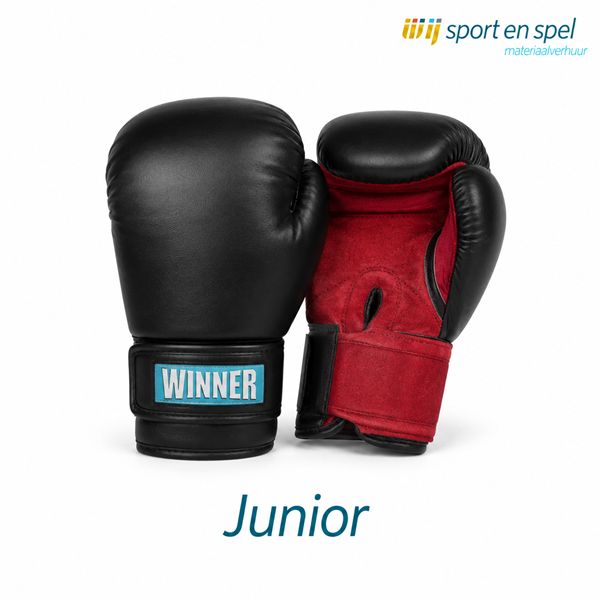 Bokshandschoenen-Junior