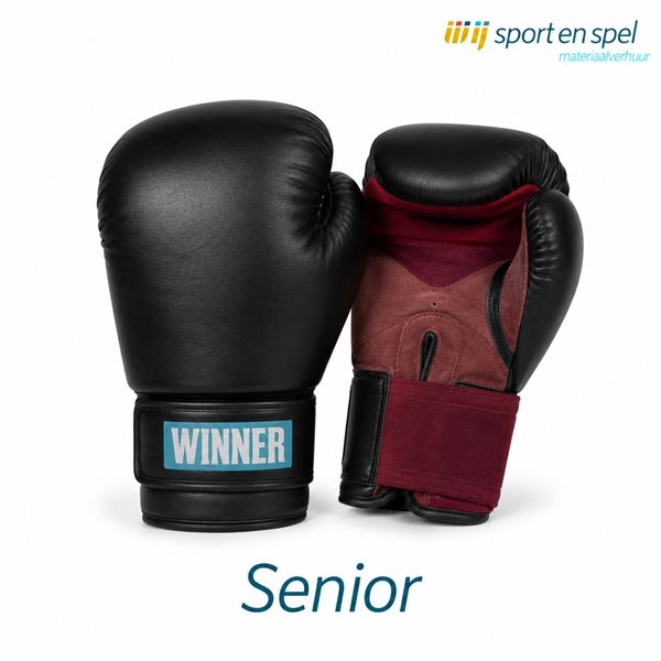 Bokshandschoenen-Senior